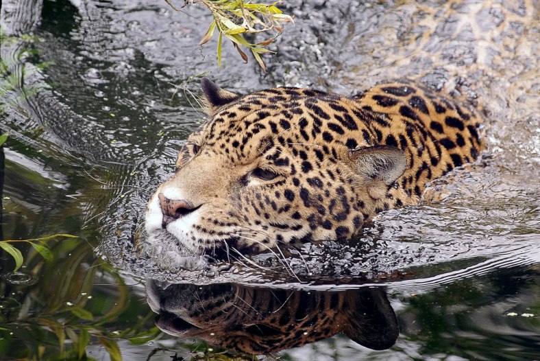 Keeping Your Head Above Water
